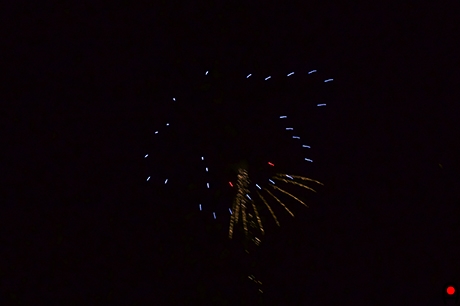 イカ形の打ち上げ花火の写真