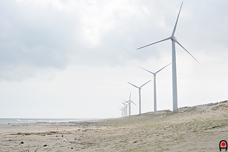 海岸に並ぶ南側の風力発電の風車の写真