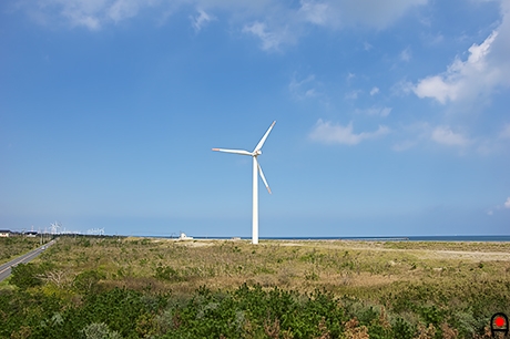 北側の風車の写真