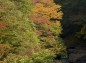生瀬の滝左側の紅葉の様子の写真