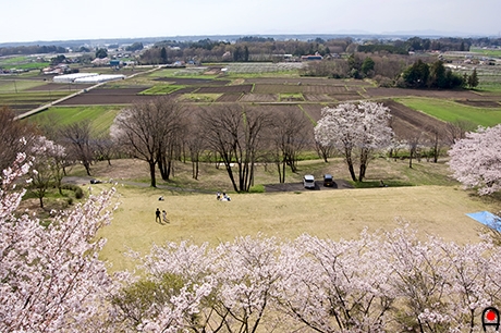 冨士山自然公園展望台から広場の様子の写真