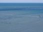 沖を奔るウインドサーフィンの写真