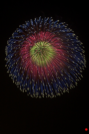 和的配色の打ち上げ花火の写真