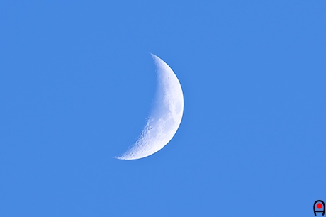 天頂付近に出ててた月の写真