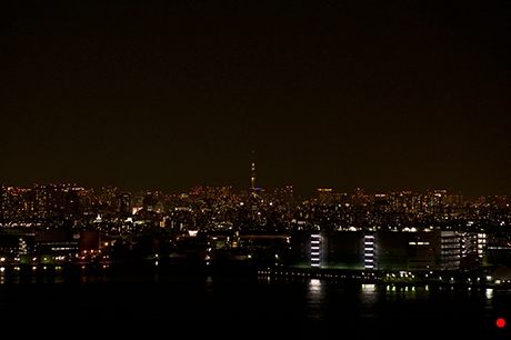 東京スカイツリー付近の夜景の写真