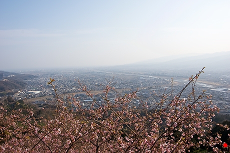 あぐりパーク嵯峨山からの眺めの写真