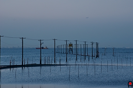 牛込海岸の海に立つ電柱の写真