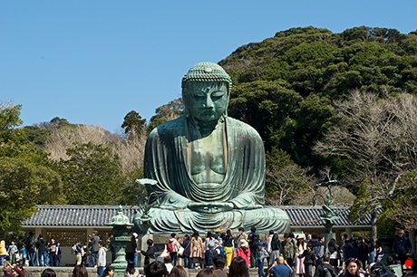 鎌倉大仏の写真