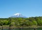 精進湖付近から富士山の写真