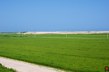 県道38号線から見た海岸方面の写真