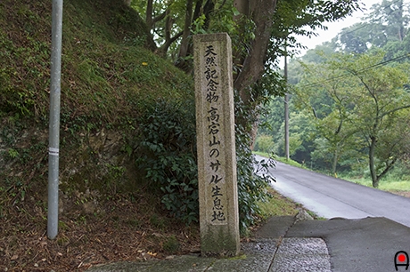 高宕山の生息地碑の写真
