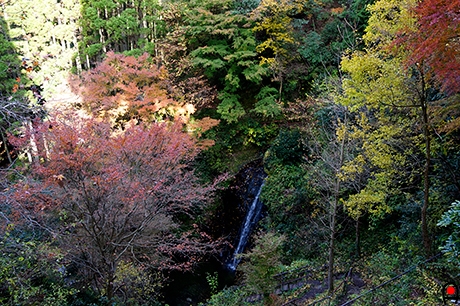 小沢又の滝の滝