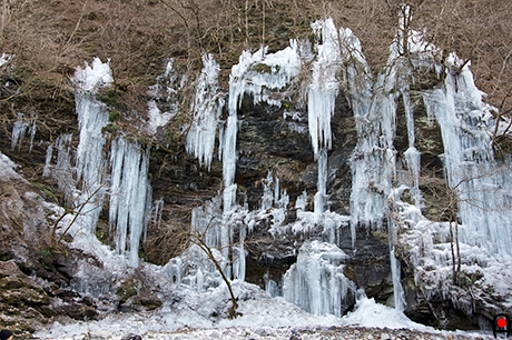 人工の氷柱の写真