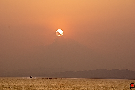 富士山と直上の夕日の写真