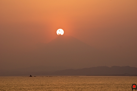 富士山に沈み始める夕日の写真