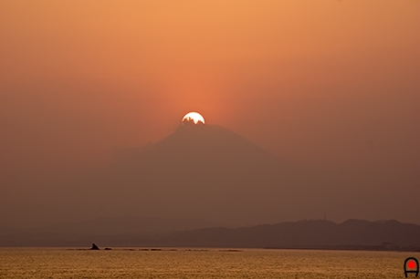 富士山に半分沈む夕日の写真