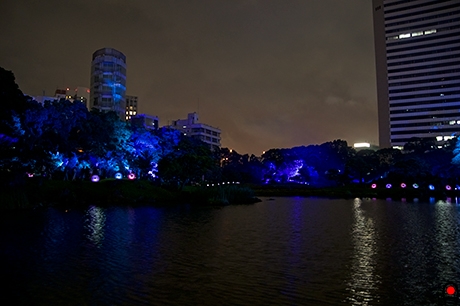 旧芝離宮恩賜公園、江戸夏夜会の写真